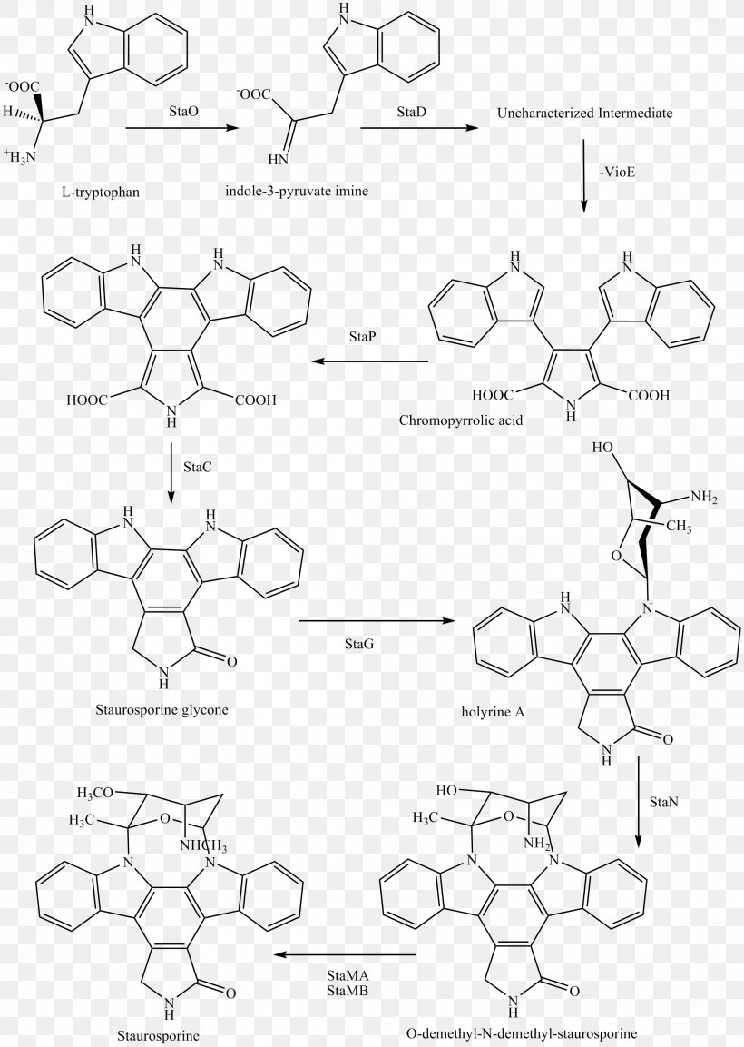 Staurosporine Midostaurin Chemical Synthesis Pharmaceutical Drug CD135, PNG, 2090x2939px, Staurosporine, Acute Myeloid Leukemia, Alkaloid, Area, Black And White Download Free