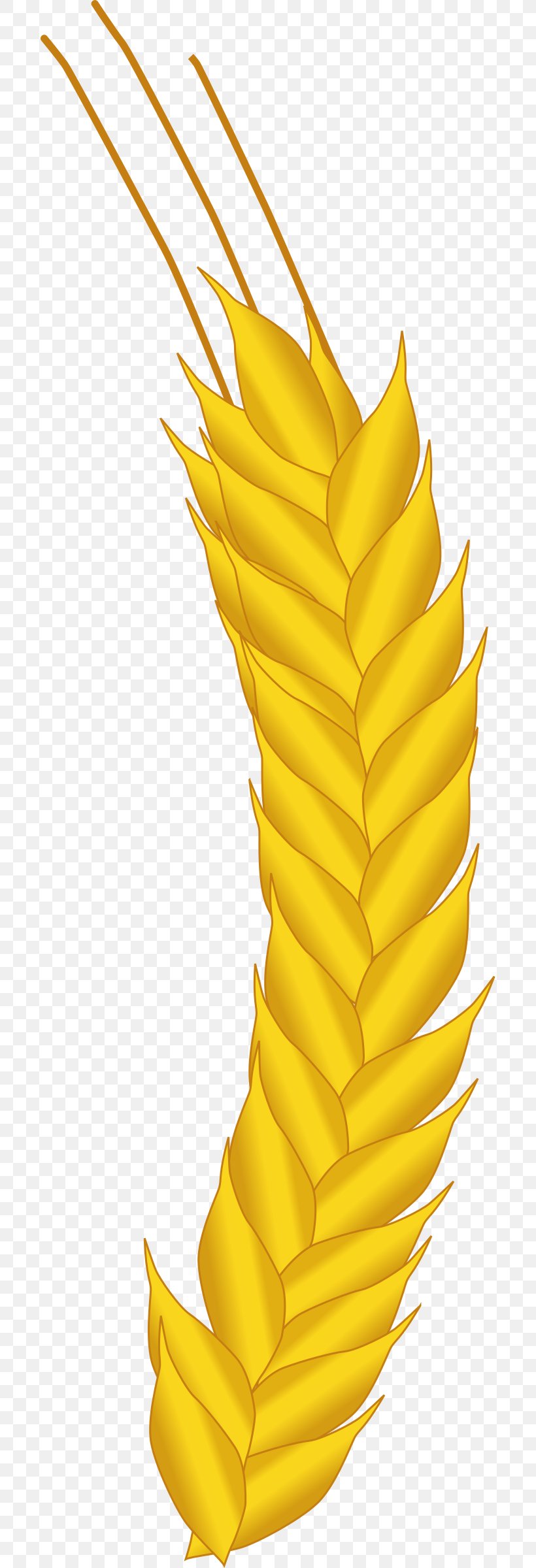 Wheat Clip Art, PNG, 696x2400px, Wheat, Auricle, Commodity, Corn On The Cob, Crop Download Free