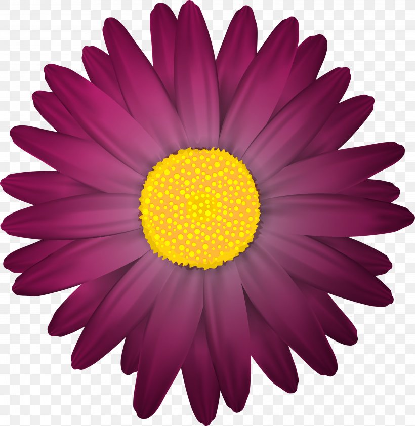 Flower Clip Art, PNG, 4868x5000px, Flower, Aster, Chamomile, Chrysanths, Color Download Free