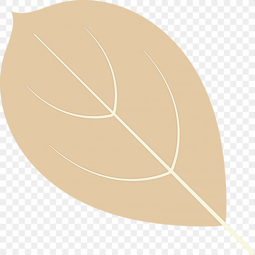 Leaf Angle Line Biology Plant Structure, PNG, 3000x3000px, Autumn Leaf, Angle, Autumn Color, Biology, Leaf Download Free