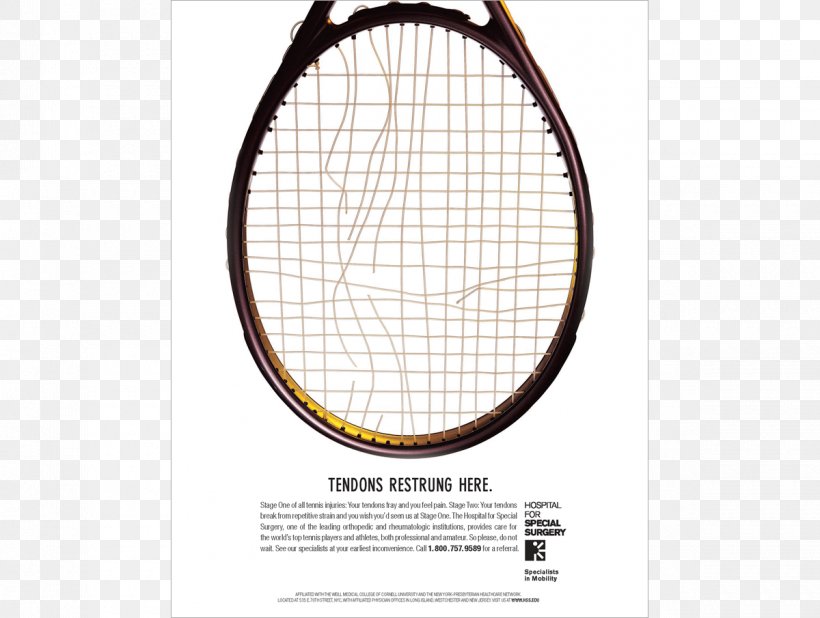 Rakieta Tenisowa Tennis Racket Brand, PNG, 1200x905px, Rakieta Tenisowa, Area, Brand, Racket, Sports Equipment Download Free