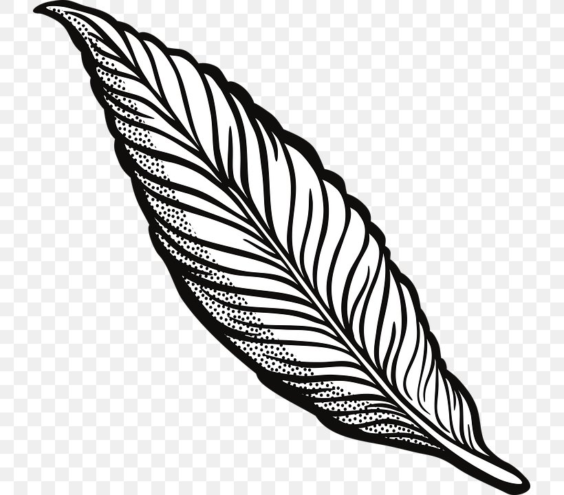 Clip Art Openclipart Drawing Image Feather, PNG, 723x720px, Drawing, Beak, Bird, Black And White, Feather Download Free