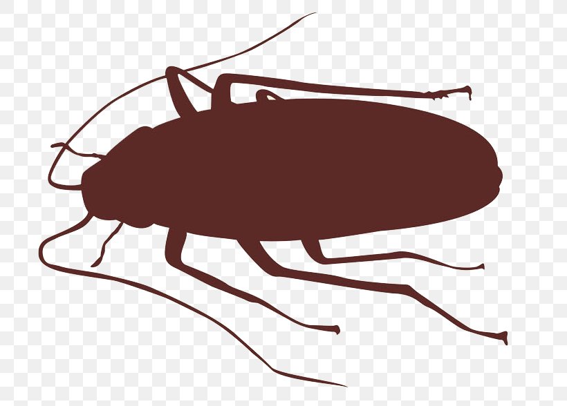 Cockroach Insect Silhouette, PNG, 730x588px, Cockroach, Animal, Arthropod, Beetle, Black And White Download Free