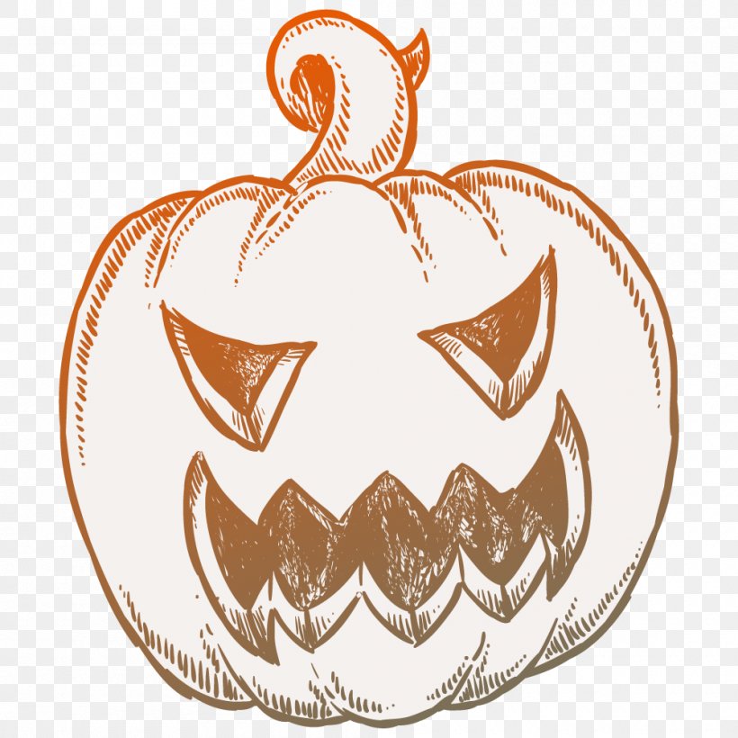 Pumpkin Halloween Jack-o'-lantern, PNG, 1000x1000px, Pumpkin, Computer Software, Drawing, Food, Halloween Download Free