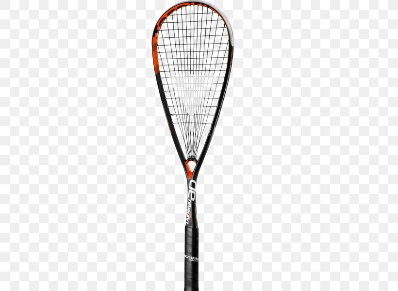 Racket Squash Tecnifibre Sporting Goods Strings, PNG, 495x600px, Racket, Badminton, Ball, Head, Professional Squash Association Download Free