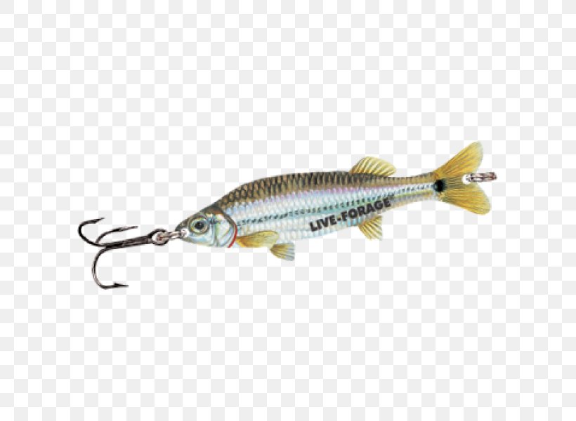 Spoon Lure Perch Fish, PNG, 600x600px, Spoon Lure, Bait, Fish, Fishing Bait, Fishing Lure Download Free