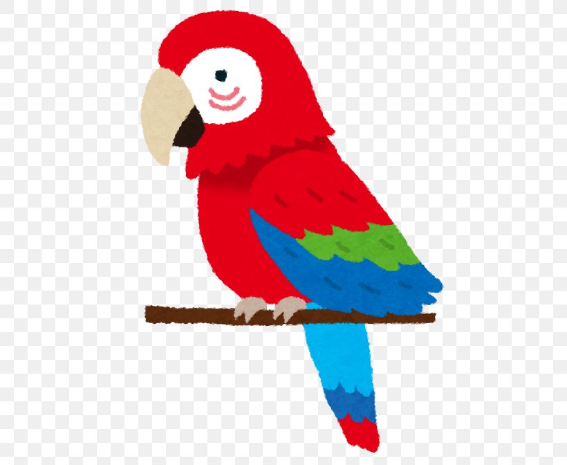 Bird Cockatoo Echolalia Macaw Psittacosis, PNG, 554x672px, Bird, Beak, Bird Toy, Cockatoo, Macaw Download Free