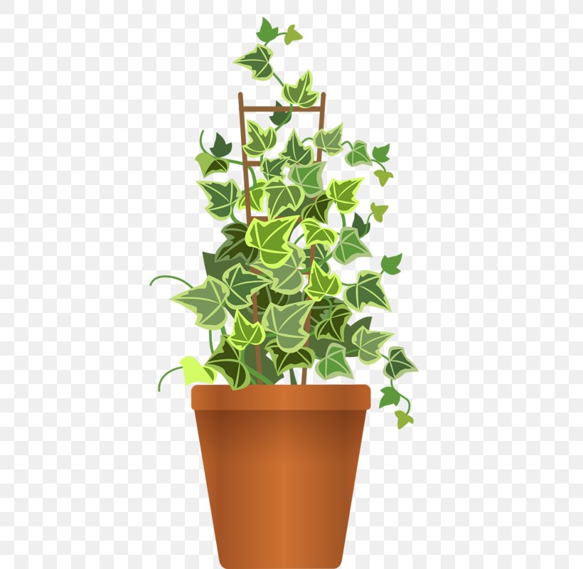 Flowerpot Houseplant Garden Clip Art, PNG, 399x800px, Flowerpot, Common Ivy, Flower, Flower Box, Flower Garden Download Free