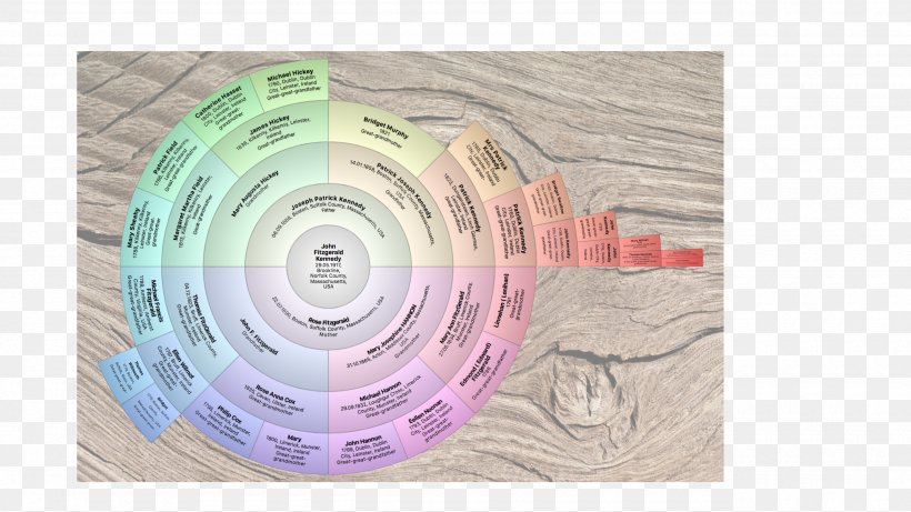 Your Family Tree Genealogy History, PNG, 2560x1440px, Family Tree, Family, Genealogy, History, Ioffer Download Free