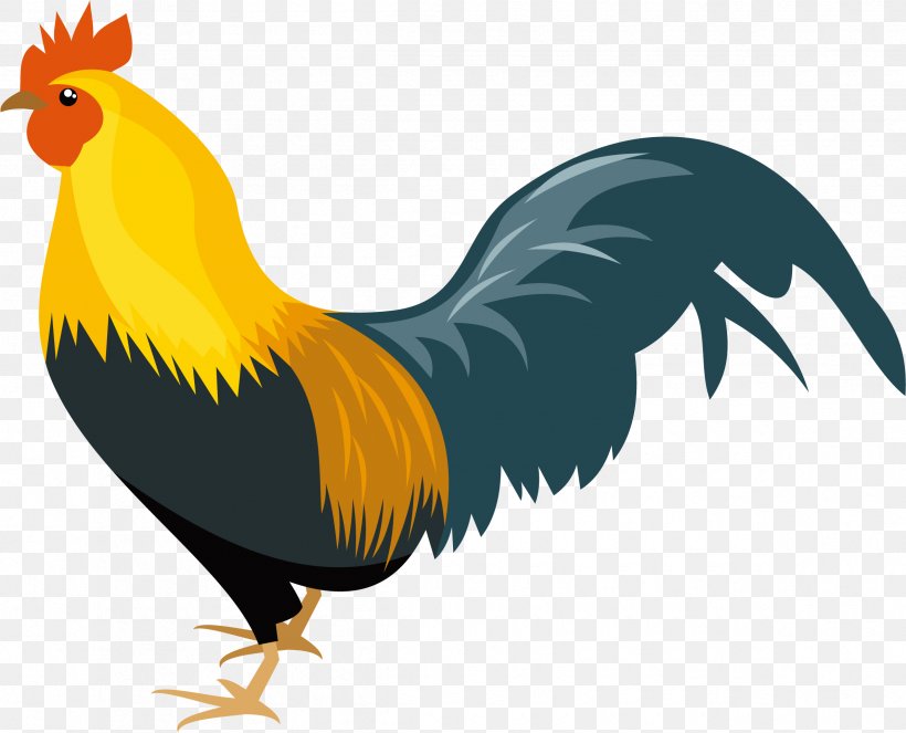 Chicken Bird Rooster Beak Wing, PNG, 2390x1935px, Chicken, Beak, Bird, Comb, Livestock Download Free