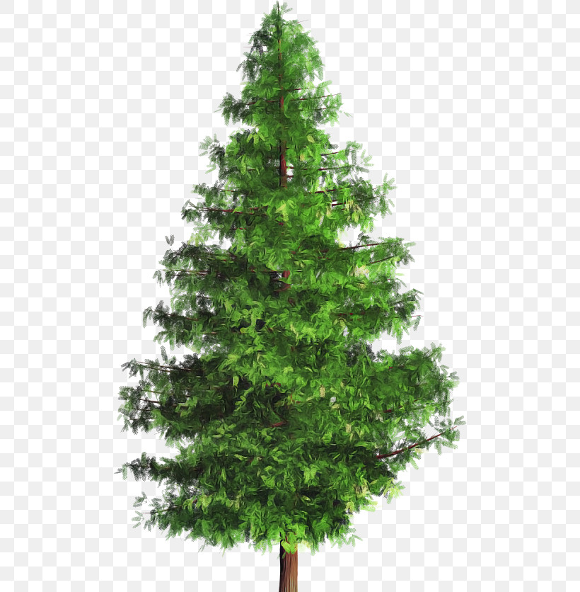 Christmas Tree, PNG, 500x836px, Tree, American Larch, Balsam Fir, Christmas Decoration, Christmas Tree Download Free