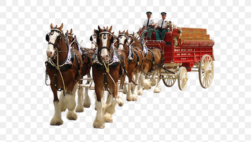 Horse GIF Centerblog Animation, PNG, 600x465px, Horse, Animation, Blog, Carriage, Cart Download Free