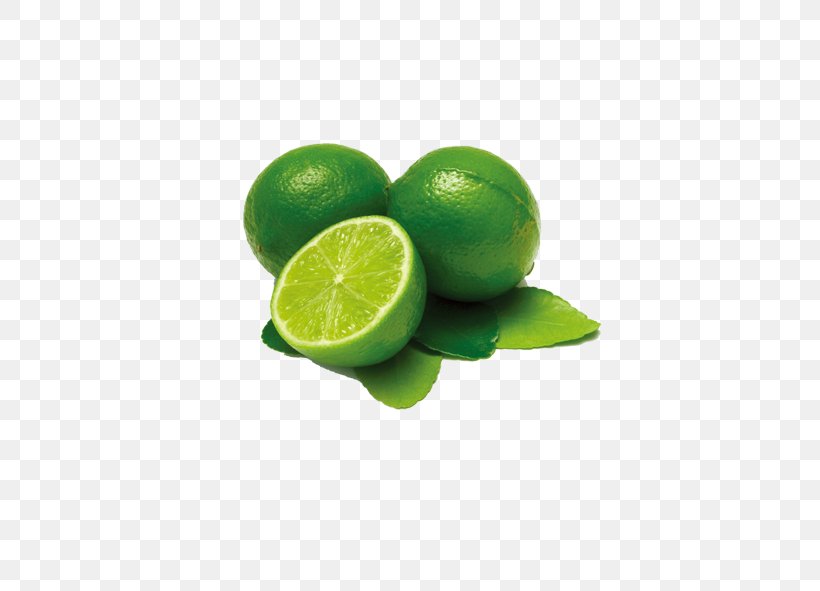 Key Lime Kaffir Lime Ulam Mandarin Orange, PNG, 591x591px, Key Lime, Calamondin, Chili Pepper, Citric Acid, Citrus Download Free