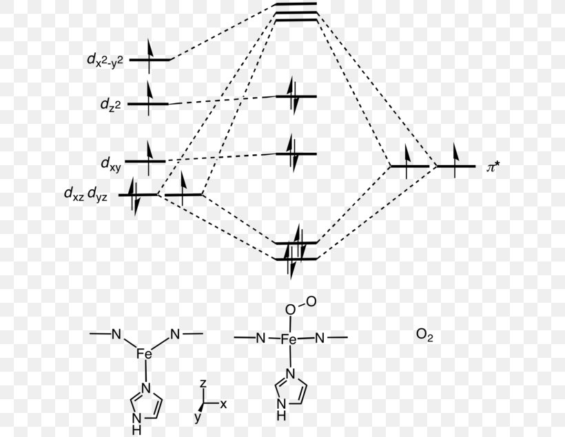 Myoglobin Protein Muscle Tissue Iron Heme, PNG, 640x635px, Myoglobin, Black And White, Creatine Kinase, Diagram, Drawing Download Free