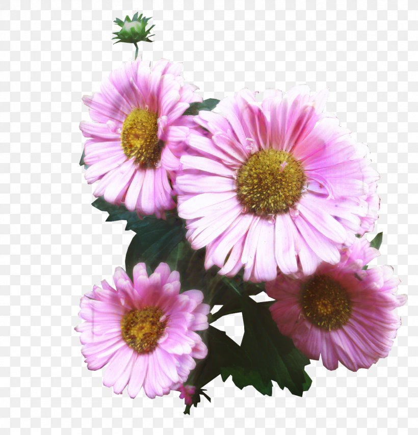 Clip Art Image Desktop Wallpaper Pixabay, PNG, 1229x1280px, Common Daisy, African Daisy, Artificial Flower, Aster, Asterales Download Free