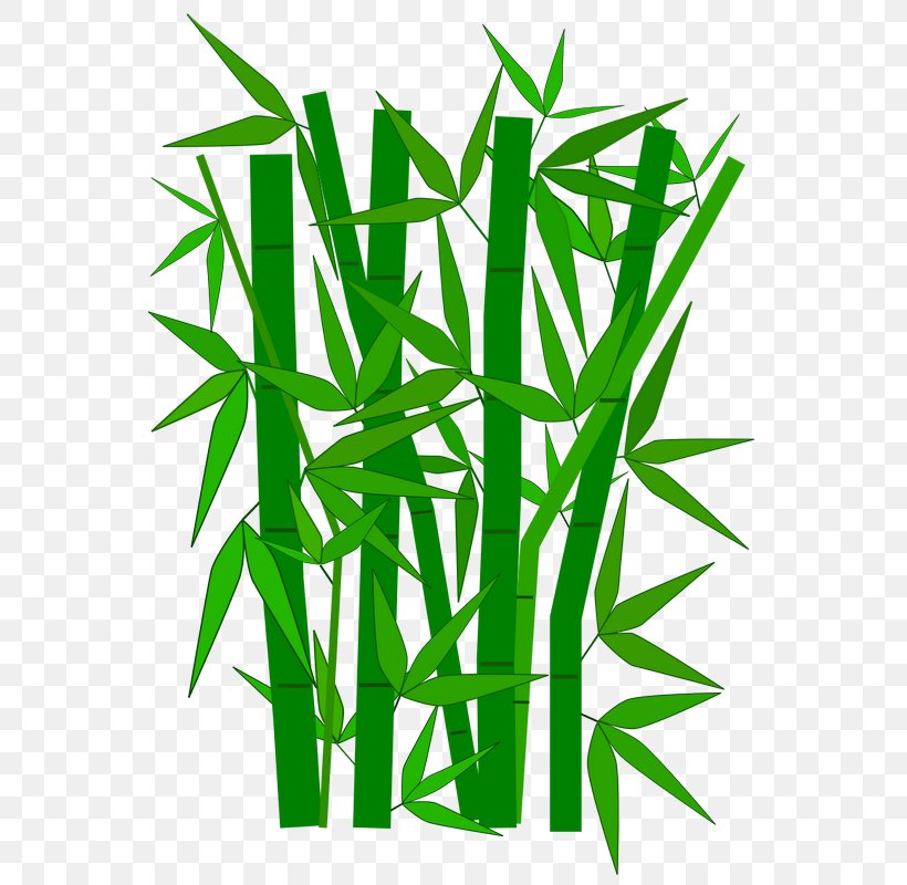 Tropical Woody Bamboos Clip Art, PNG, 566x800px, Tropical Woody Bamboos, Commodity, Computer, Document, Grass Download Free