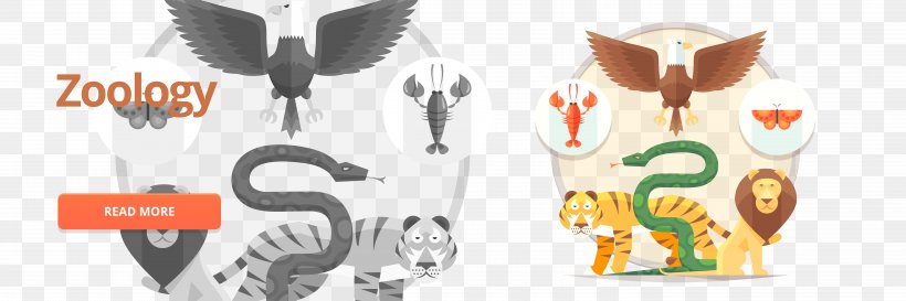 Zoology Flat Vector Material, PNG, 11399x3800px, Flat Design, Brand, Clothing, Illustration, Logo Download Free