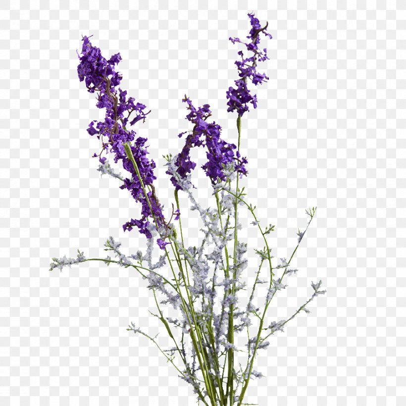 English Lavender Purple Artificial Flower Violet, PNG, 900x900px, English Lavender, Artificial Flower, Branch, Color, Common Sage Download Free