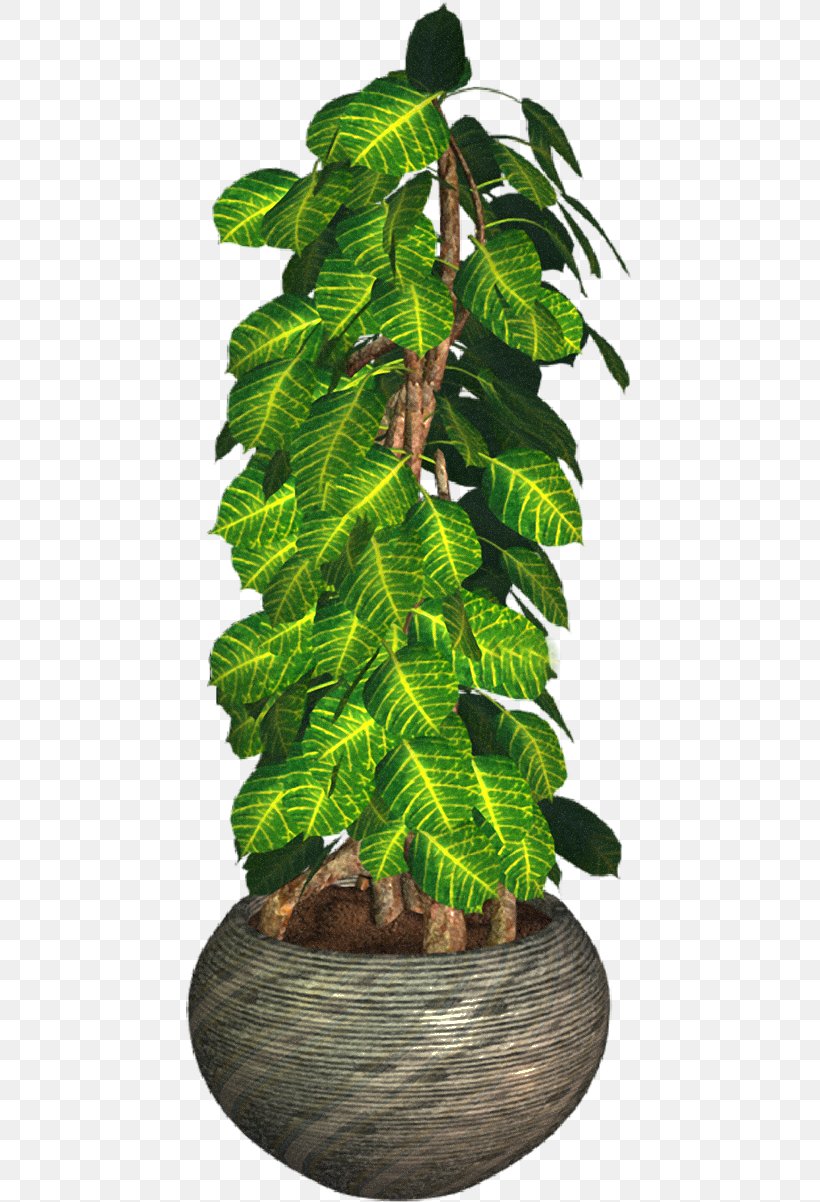 Flowerpot Leaf Houseplant Tree, PNG, 448x1202px, Flowerpot, Evergreen, Houseplant, Leaf, Plant Download Free