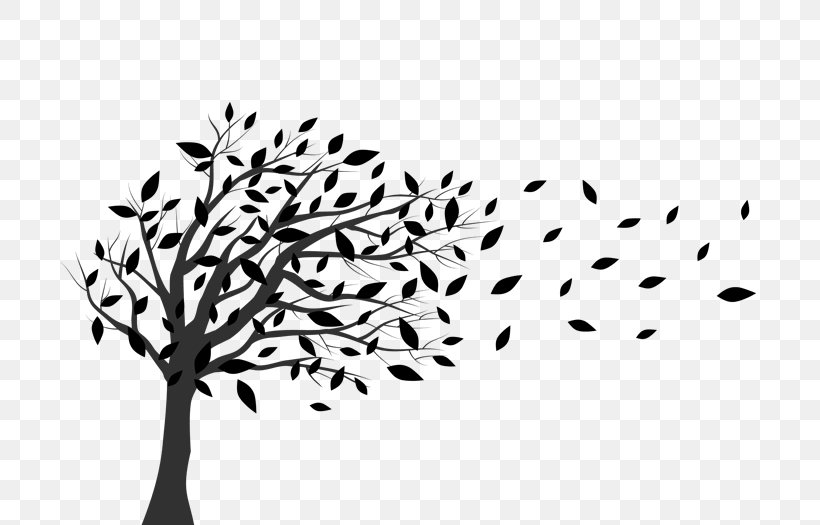 Wall Decal Tree Fototapet Wind, PNG, 700x525px, Wall Decal, Black, Black And White, Branch, Commodity Download Free