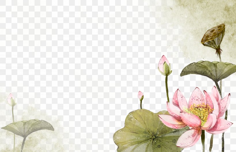 2012 Lotus Evora Lotus Cars Nelumbo Nucifera China Watercolour Flowers, PNG, 4961x3189px, Lotus Cars, Arranging Cut Flowers, Art, Blossom, Branch Download Free