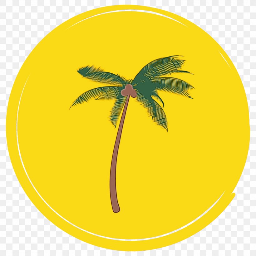 Coconut Tree Cartoon, PNG, 1500x1500px, Computer Servers, Animation, Arecales, Coconut, Competencia Download Free