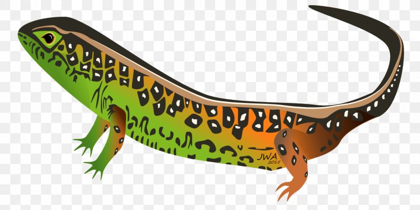 Desert Horned Lizard Reptile Amphibian Common Iguanas, PNG, 1400x700px, Lizard, Amphibian, Animal, Animal Figure, Common House Gecko Download Free