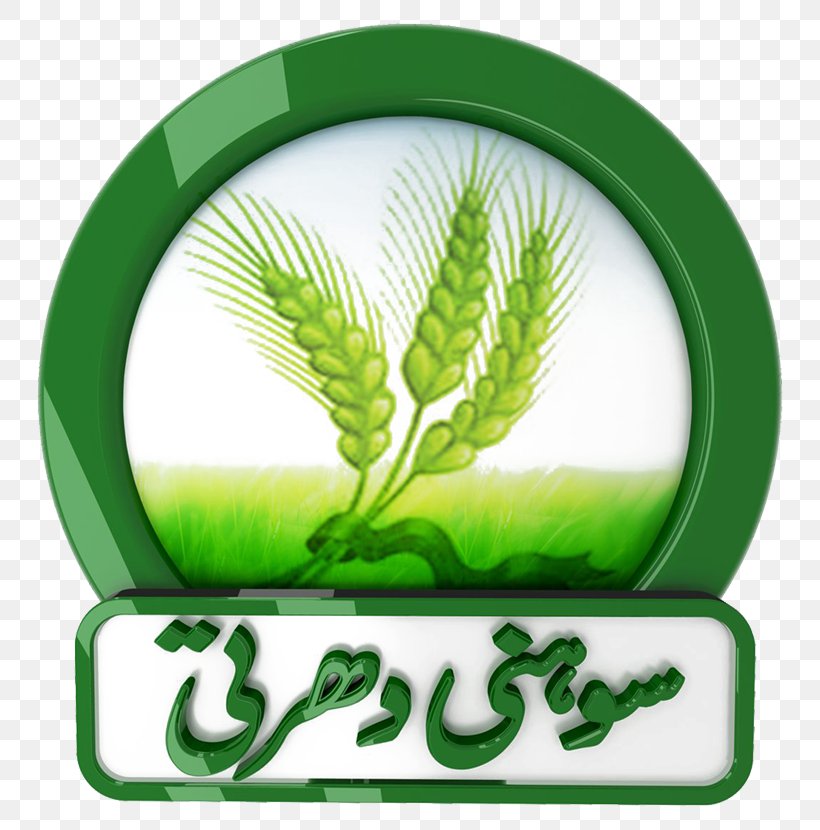 Pakistan Television Show Zhwandoon TV Live Radio, PNG, 800x830px, Pakistan, Brand, Commodity, Grass, Grass Family Download Free