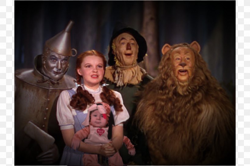 The Wonderful Wizard Of Oz Dorothy Gale Toto Tin Woodman Wicked Witch Of The West, PNG, 1600x1067px, Wonderful Wizard Of Oz, Cowardly Lion, Dorothy Gale, Family, Film Download Free
