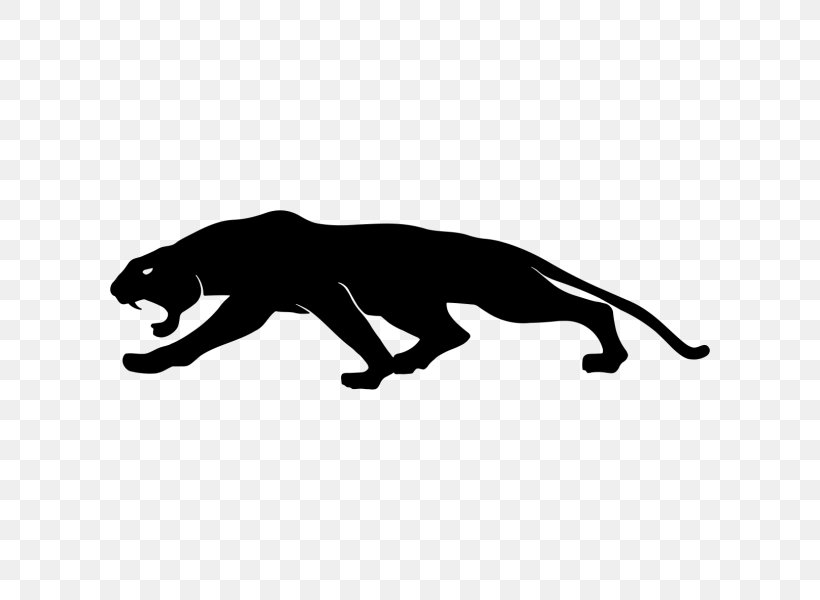 Cat Bumper Sticker Leopard, PNG, 600x600px, Cat, Big Cat, Big Cats, Black, Black And White Download Free