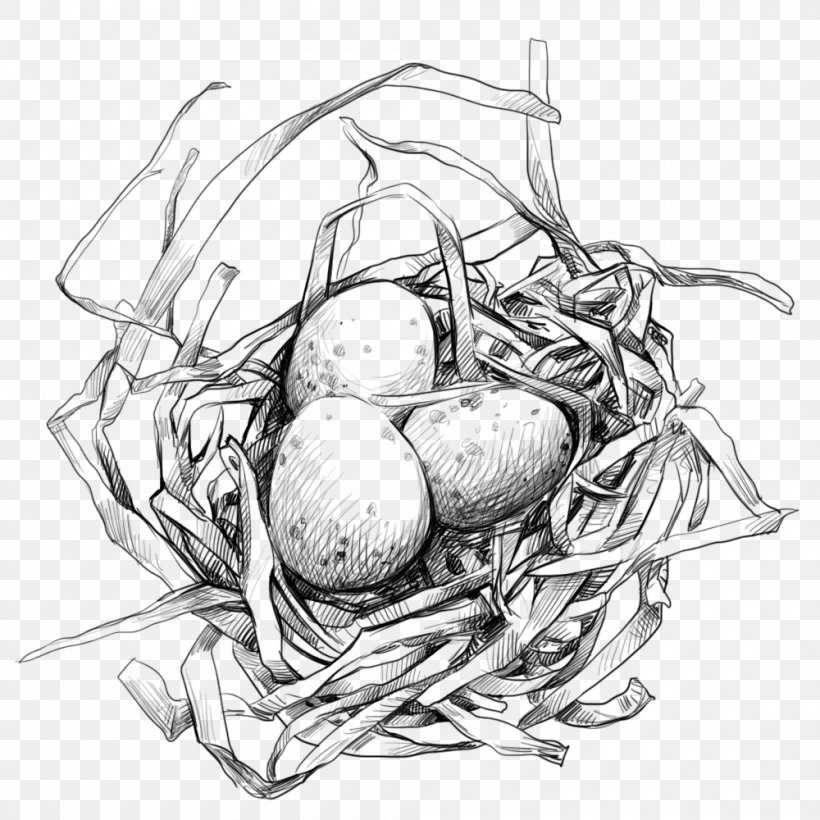 Edible Birds Nest Egg, PNG, 1000x1000px, Bird, Artwork, Bird Egg, Bird Nest, Black And White Download Free