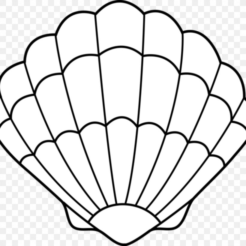 Seashell Coloring Book Drawing Mollusc Shell, PNG, 1024x1024px, Seashell, Adult, Area, Black And White, Book Download Free