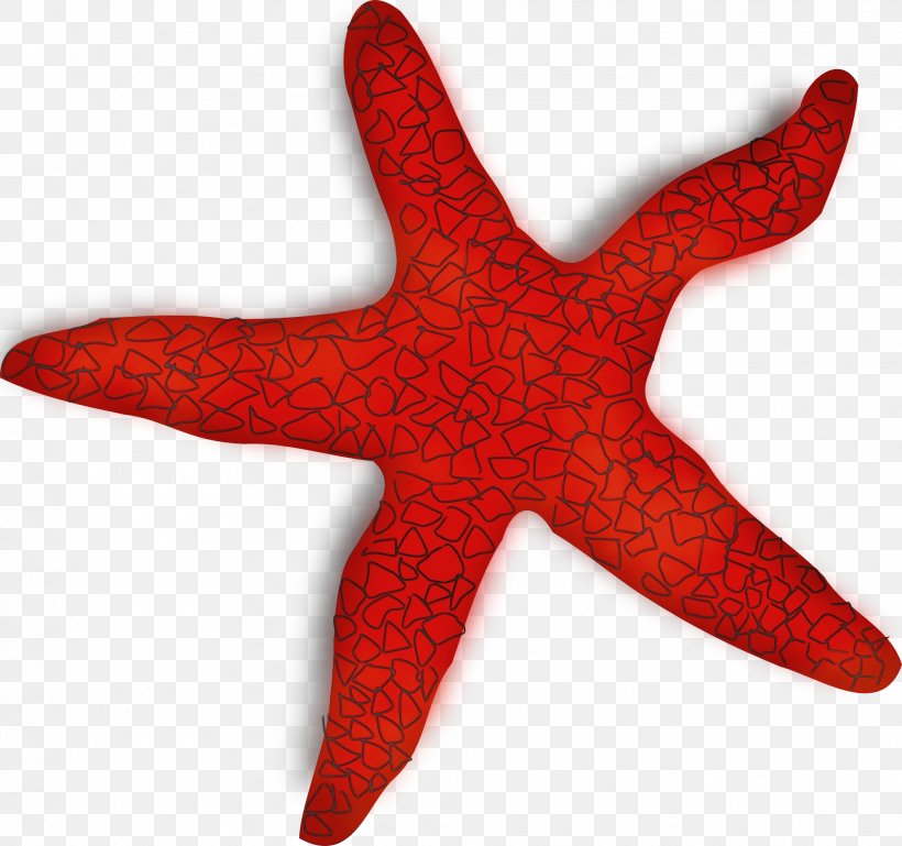 Starfish Red Marine Invertebrates Carmine, PNG, 1979x1858px, Watercolor, Carmine, Marine Invertebrates, Paint, Red Download Free