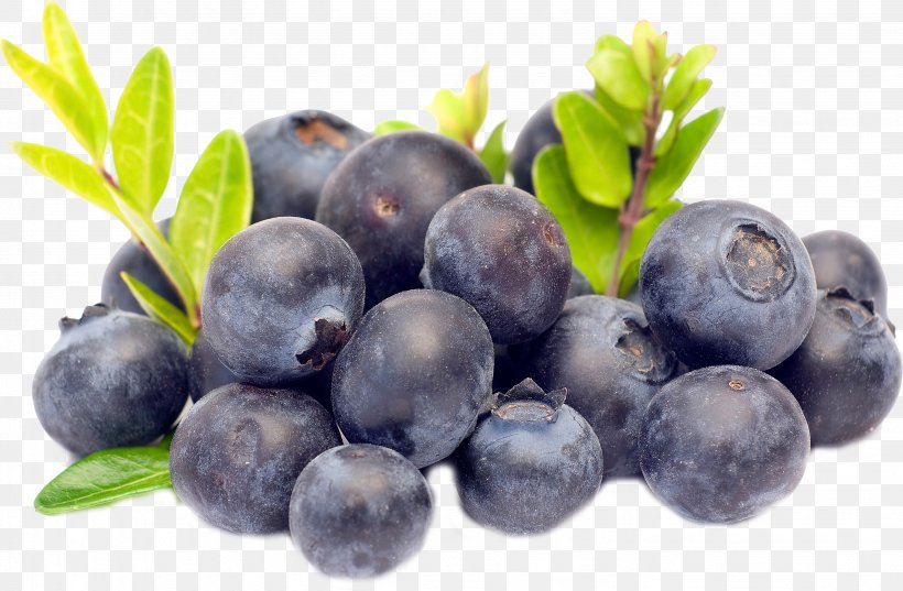 Torte Blueberry Bilberry Fruit, PNG, 2861x1875px, Torte, Berry, Bilberry, Blueberry, Blueberry Tea Download Free
