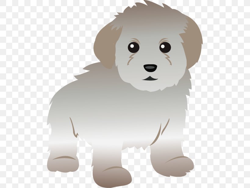 Toy Poodle Maltese Dog Standard Poodle Miniature Poodle, PNG, 513x615px, Poodle, Bear, Bichon Frise, Carnivoran, Dog Download Free