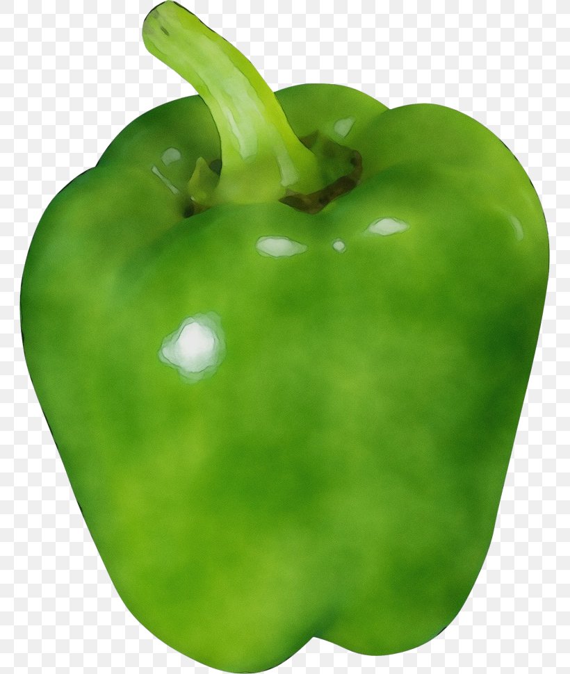 Bell Pepper Pimiento Capsicum Green Bell Pepper Green, PNG, 763x970px, Watercolor, Bell Pepper, Bell Peppers And Chili Peppers, Capsicum, Food Download Free