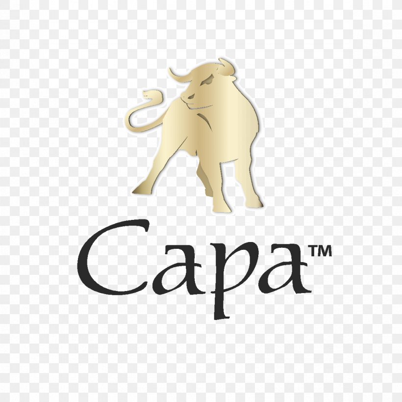 Canidae Cat Logo Dog Mammal, PNG, 1181x1181px, Canidae, Brand, Carnivoran, Cat, Cat Like Mammal Download Free