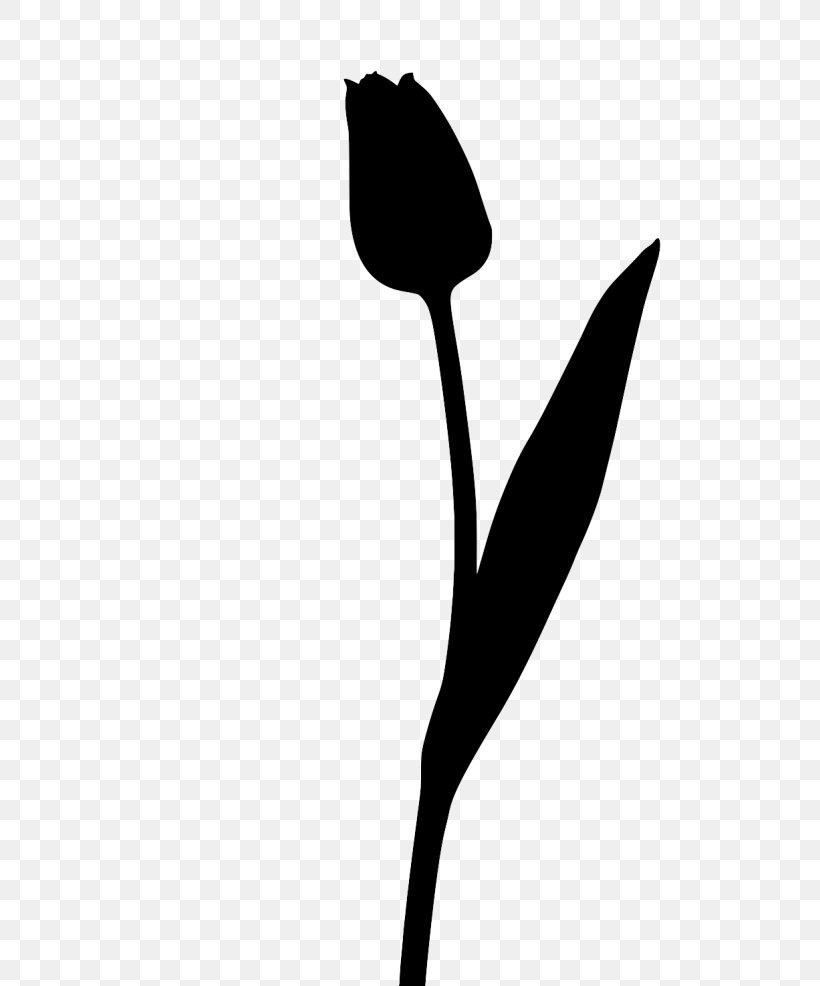 Flower Clip Art Plant Stem Leaf Line, PNG, 700x986px, Flower, Black M, Blackandwhite, Botany, Bud Download Free