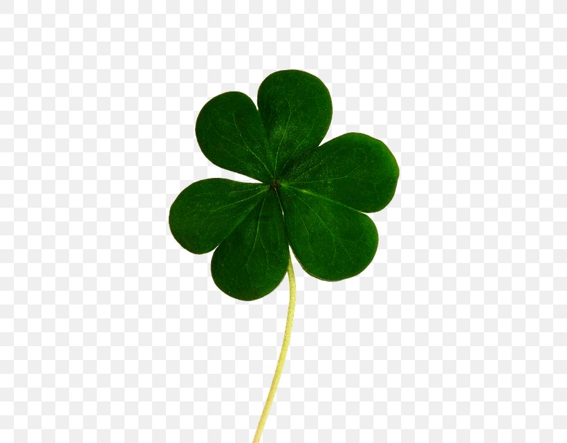 Saint Patrick's Day Republic Of Ireland Luck Shamrock Black And Tan, PNG, 582x640px, 17 March, Saint Patrick S Day, Black And Tan, Clover, Food Download Free