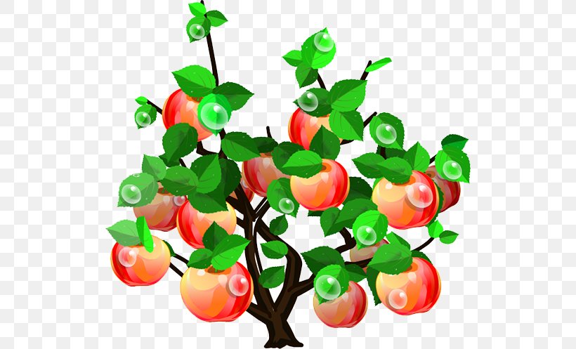 Apple Tree Clip Art, PNG, 522x497px, Apple, Branch, Cherry, Food, Fruit Download Free