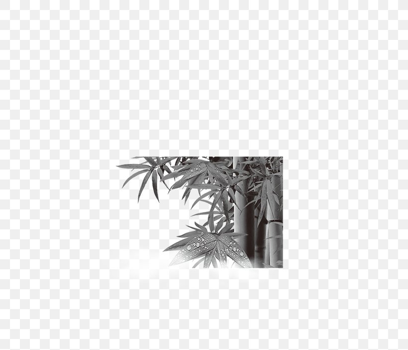 Bamboo Painting Black And White, PNG, 679x702px, Bamboo, Bamboo Painting, Black And White, Chinese Painting, Feeling From Mountain And Water Download Free
