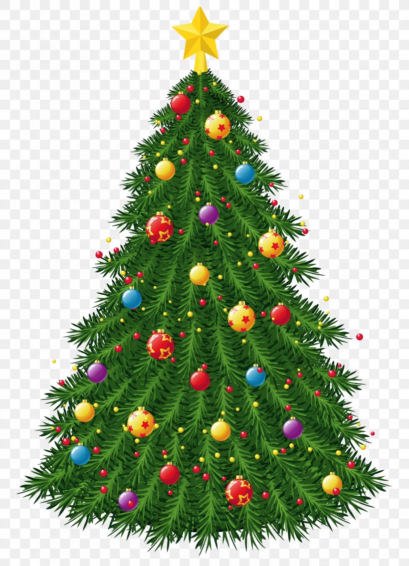 Christmas Tree Christmas Ornament Christmas Decoration, PNG, 2336x3234px, Christmas, Christmas Decoration, Christmas Ornament, Christmas Tree, Conifer Download Free