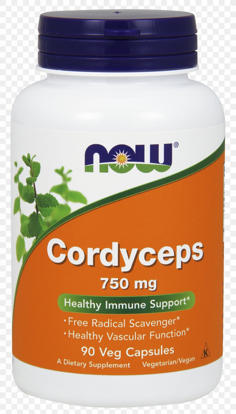 Dietary Supplement Cordyceps Food Capsule Herb, PNG, 914x1600px, Dietary Supplement, Capsule, Caterpillar Fungus, Cordyceps, Flavor Download Free