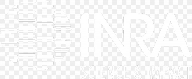 Paper White Brand Font, PNG, 3508x1438px, Paper, Area, Black And White, Brand, Rectangle Download Free