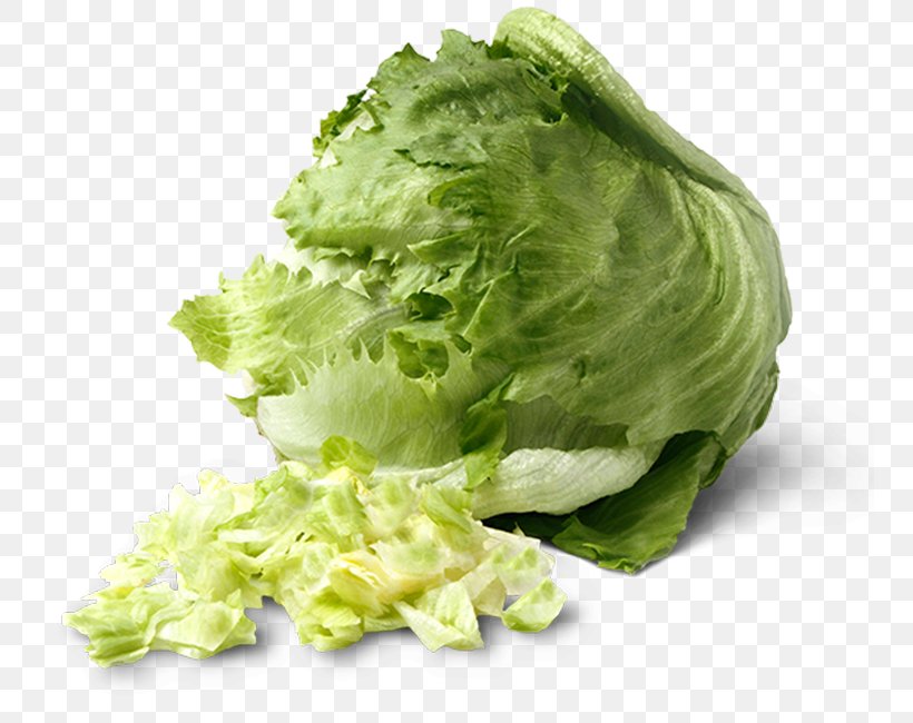 Barberitos Lettuce Leaf Vegetable Food, PNG, 750x650px, Barberitos, Cabbage, Collard Greens, Cruciferous Vegetables, Endive Download Free