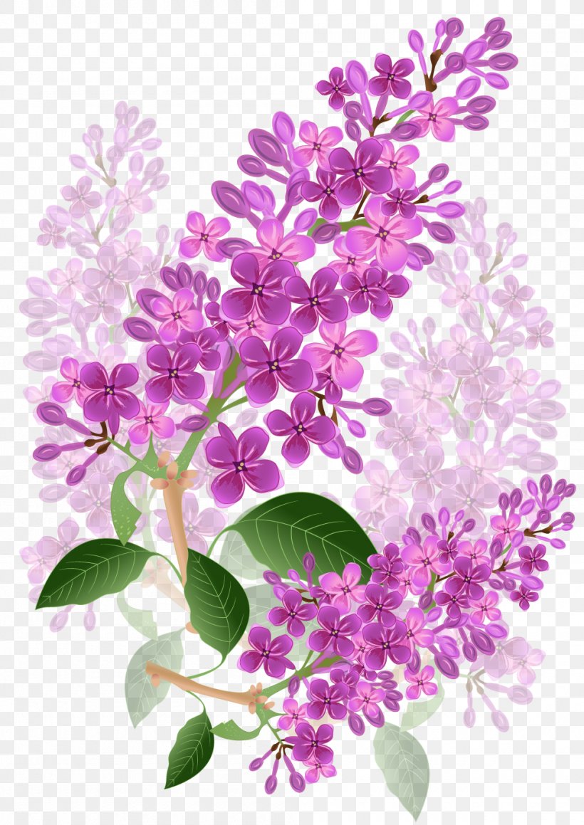 Flower Lilac Lavender Violet Purple, PNG, 1000x1414px, Flower, Blossom, Branch, Floral Design, Flowering Plant Download Free