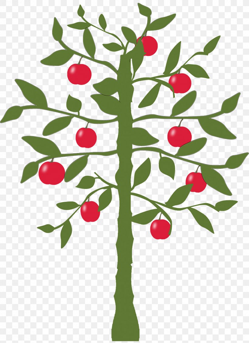 Lemon Fruit Tree Apple, PNG, 930x1280px, Lemon, Apple, Asian Pear, Branch, Citrus Download Free