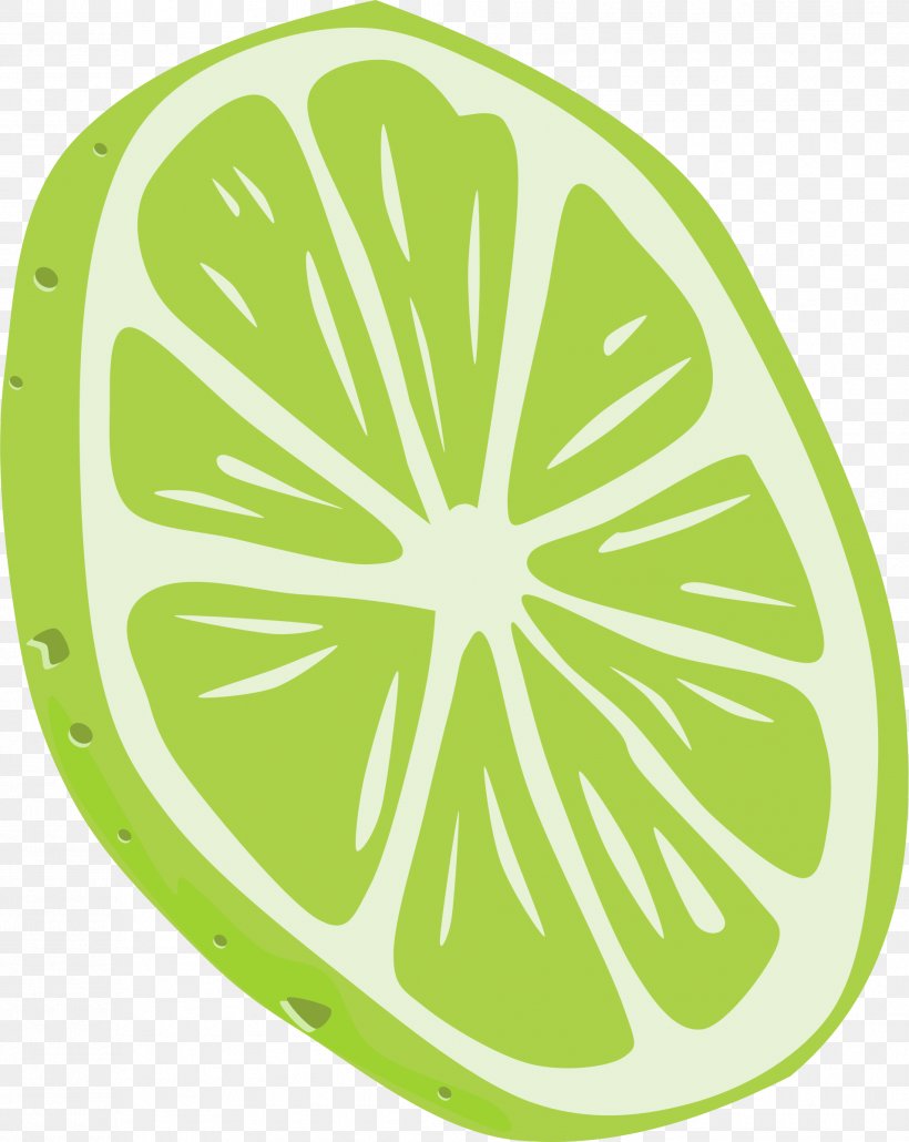Lemon-lime Drink Kaffir Lime Sweet Lemon, PNG, 1909x2400px, Lemon, Area, Citrus, Clip Art, Flowering Plant Download Free