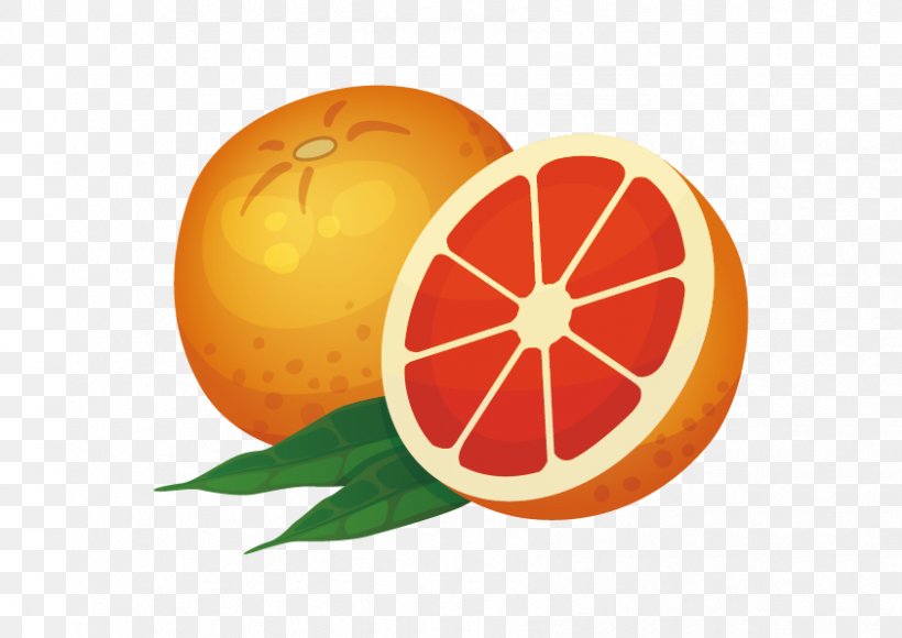 Orange Icon, PNG, 842x596px, Orange, Auglis, Cartoon, Citrus, Food Download Free