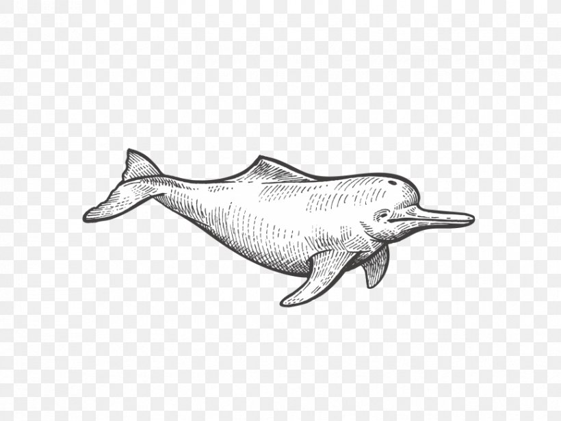 Vector Graphics Drawing Illustration, PNG, 866x650px, Drawing, Black And White, Dolphin, Fauna, Fish Download Free